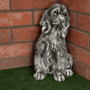 Springer Spaniel black