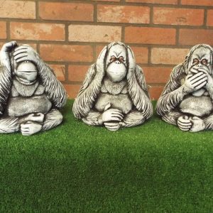 Wise Orangutans