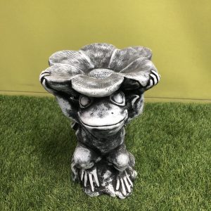 Frog feeder