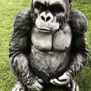 Gorilla open legs