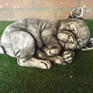 Sleeping frenchie