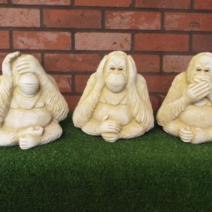 Wise Orangutans