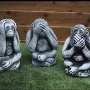 Wise monkeys