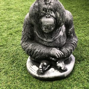 Small Orangutan