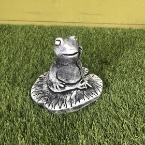 Frog lily