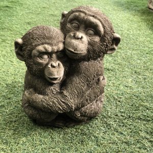 Hugging monkeys