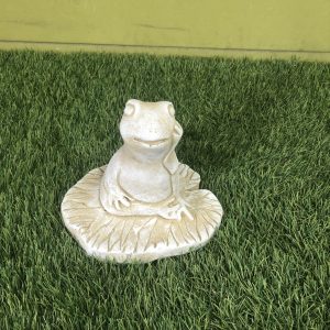 Frog lily