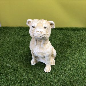 Sitting staffy yellow