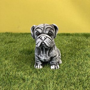Sitting bulldog puppy