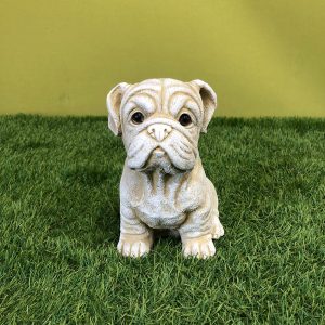 Sitting bulldog puppy