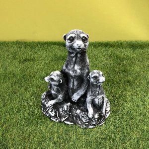 Meerkat family black