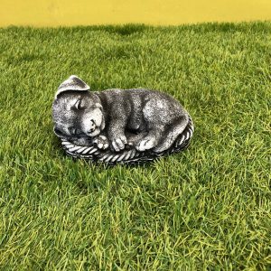 Dog in a basket