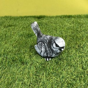 Bird black