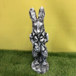 Peter rabbit black