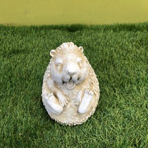 Hedgehog