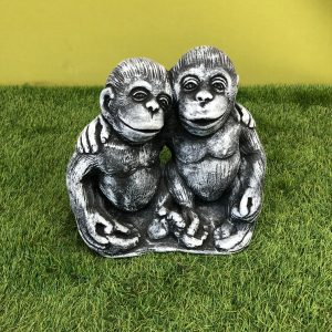 Hugging brothers  monkey