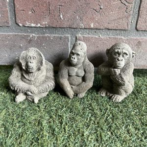 Monkeys set 3