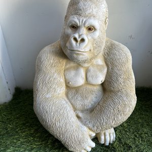 Gorilla yellow