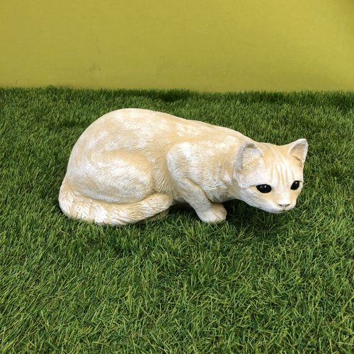 IMG-20220622-WA0008
